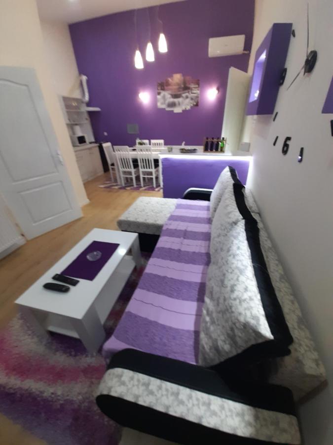Apartman Lela Vrsac Zewnętrze zdjęcie