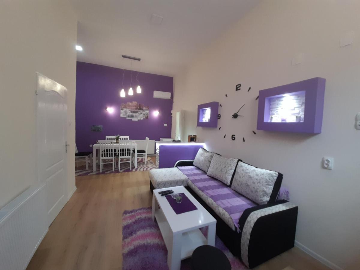 Apartament Apartman Lela Vrsac Zewnętrze zdjęcie