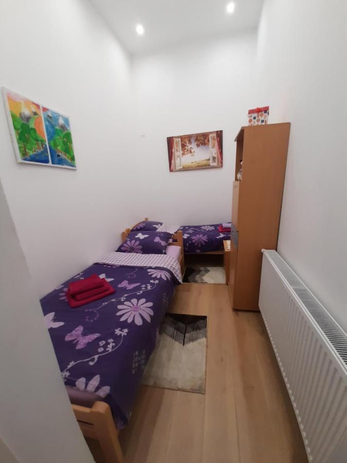 Apartman Lela Vrsac Zewnętrze zdjęcie