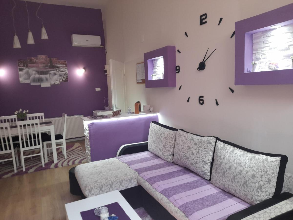 Apartman Lela Vrsac Zewnętrze zdjęcie