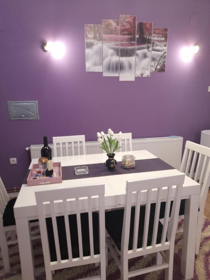 Apartman Lela Vrsac Zewnętrze zdjęcie