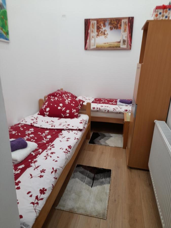 Apartman Lela Vrsac Zewnętrze zdjęcie