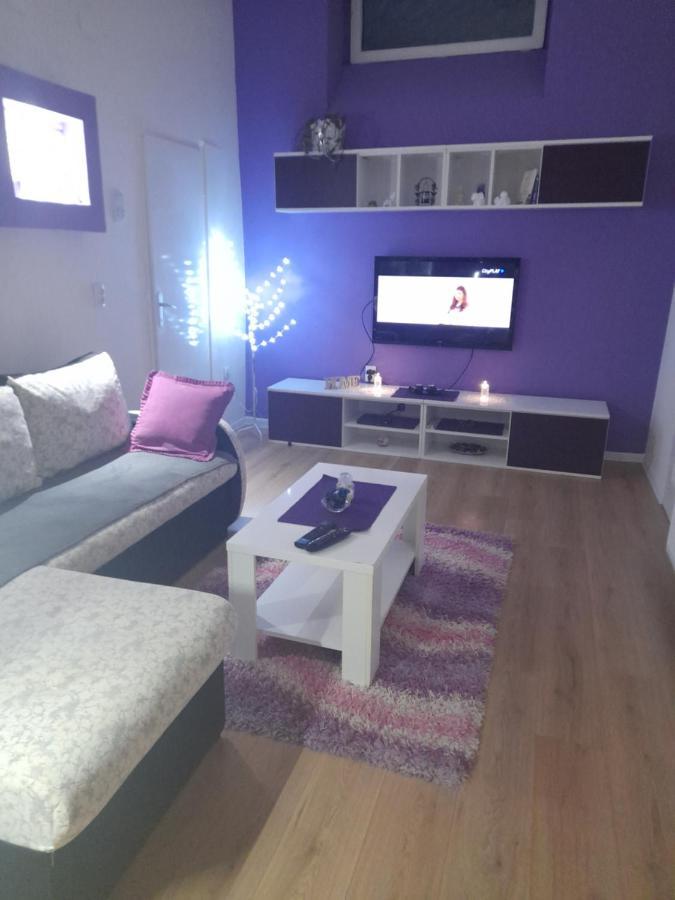 Apartman Lela Vrsac Zewnętrze zdjęcie