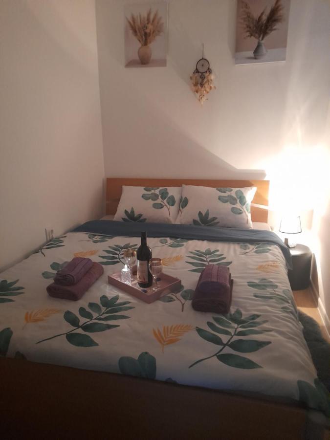 Apartament Apartman Lela Vrsac Zewnętrze zdjęcie