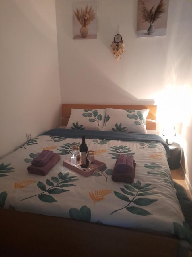 Apartman Lela Vrsac Zewnętrze zdjęcie