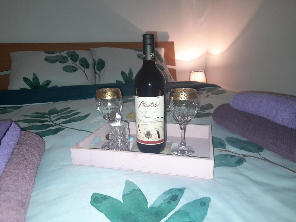 Apartman Lela Vrsac Zewnętrze zdjęcie