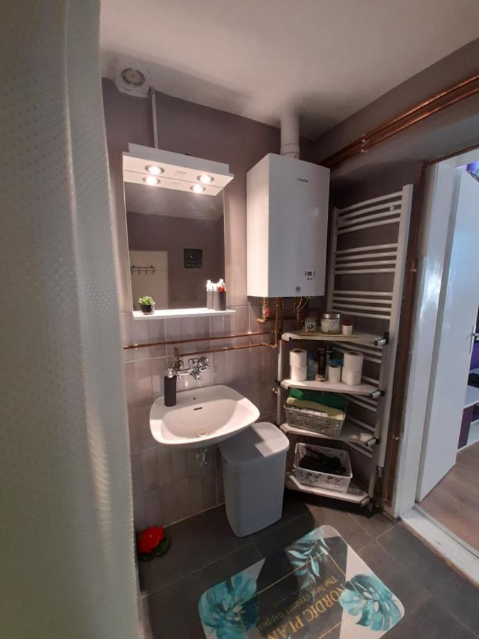 Apartman Lela Vrsac Zewnętrze zdjęcie