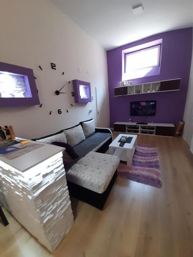 Apartman Lela Vrsac Zewnętrze zdjęcie