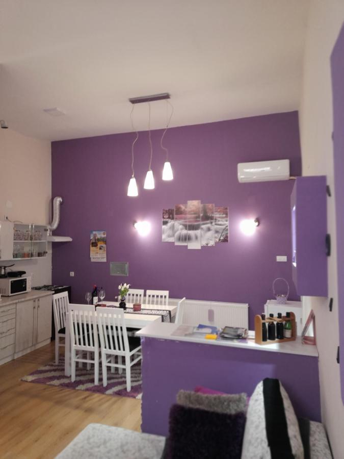 Apartman Lela Vrsac Zewnętrze zdjęcie