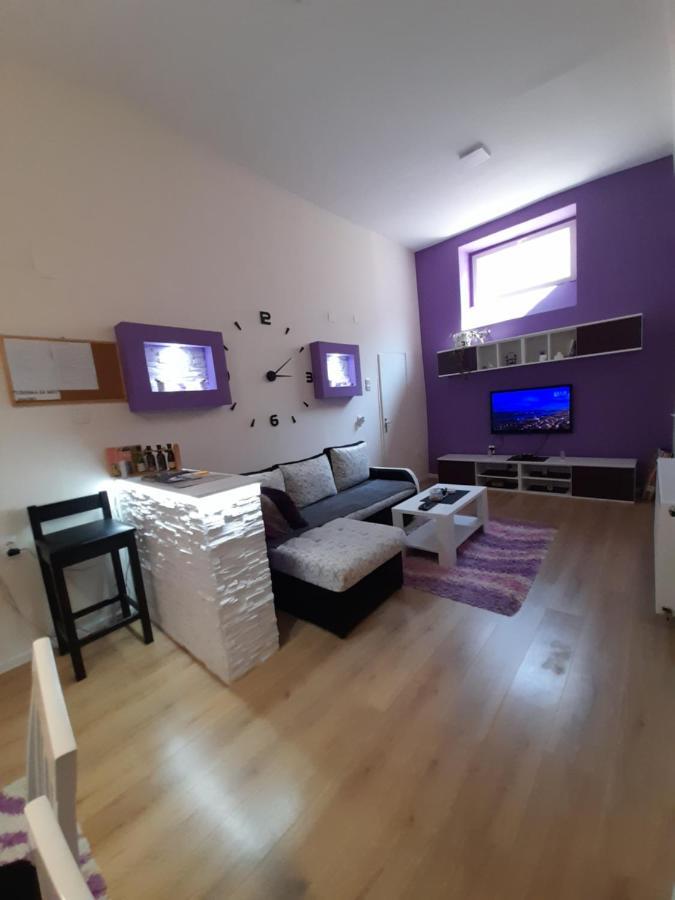 Apartman Lela Vrsac Zewnętrze zdjęcie