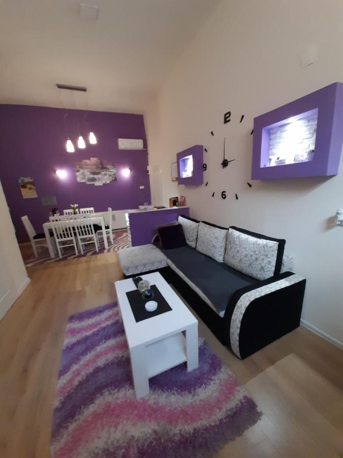 Apartman Lela Vrsac Zewnętrze zdjęcie