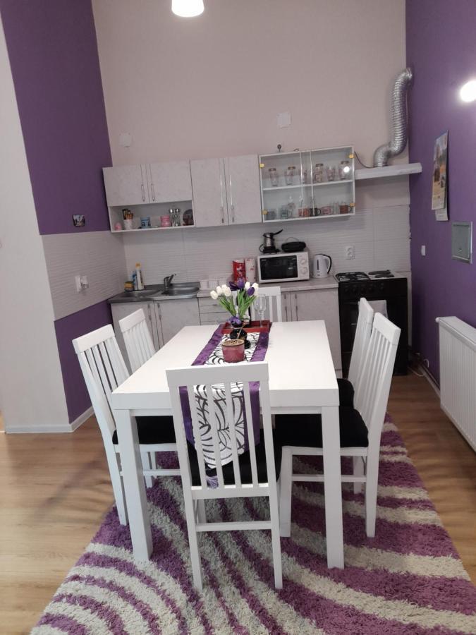 Apartament Apartman Lela Vrsac Zewnętrze zdjęcie