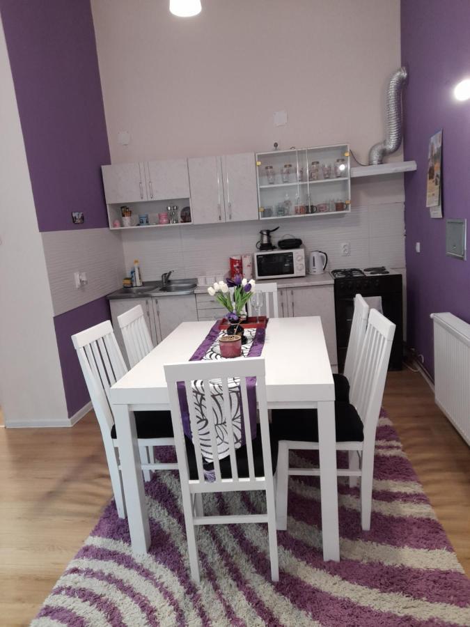 Apartman Lela Vrsac Zewnętrze zdjęcie