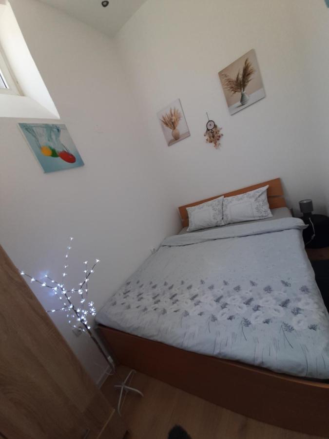 Apartament Apartman Lela Vrsac Zewnętrze zdjęcie