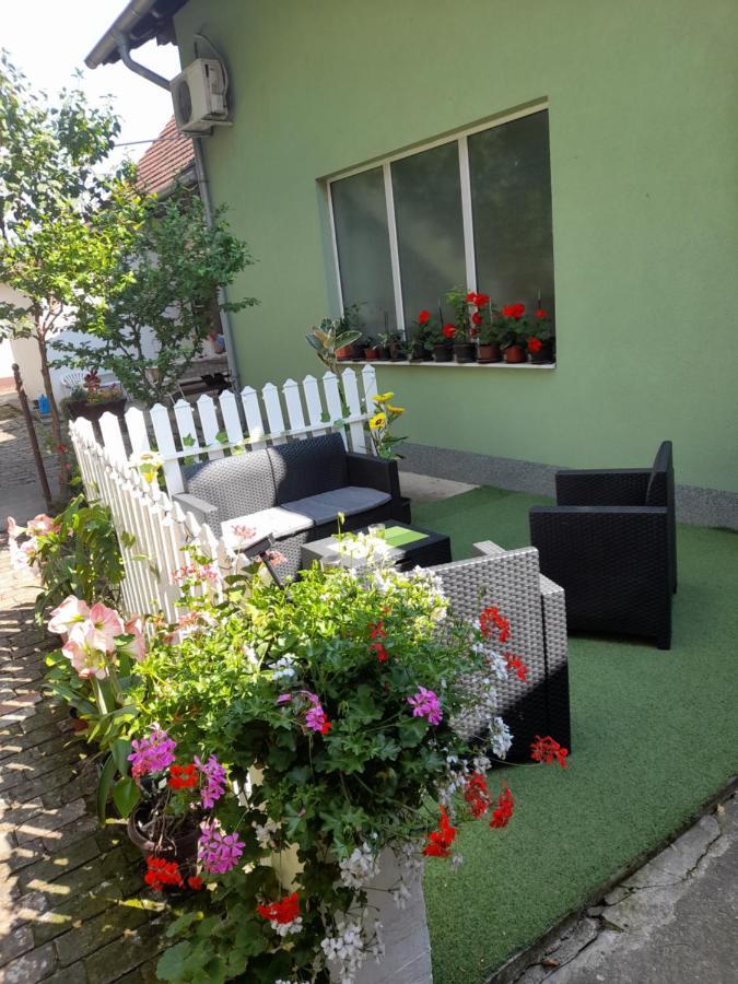 Apartament Apartman Lela Vrsac Zewnętrze zdjęcie