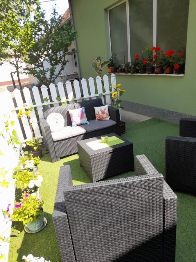 Apartament Apartman Lela Vrsac Zewnętrze zdjęcie