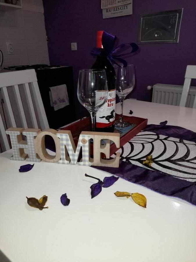 Apartman Lela Vrsac Zewnętrze zdjęcie