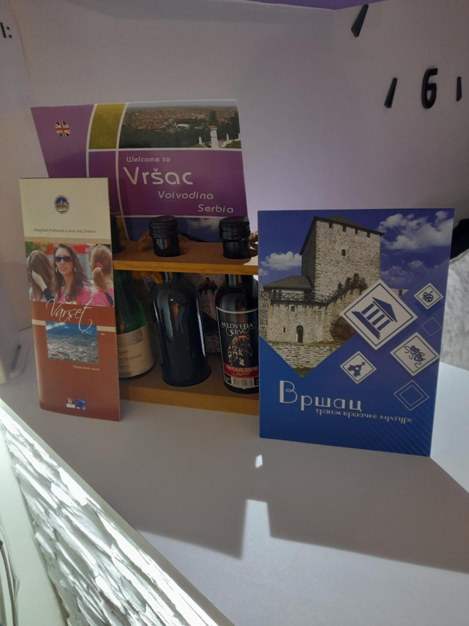 Apartman Lela Vrsac Pokój zdjęcie